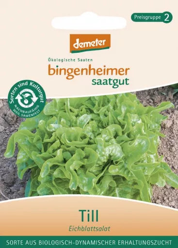 Biodynamisk Egebladsalat 'Till'  - Bingenheimer Saatgut