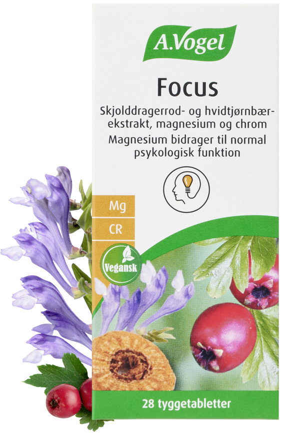 Focus - 28 Tabletter - A. Vogel