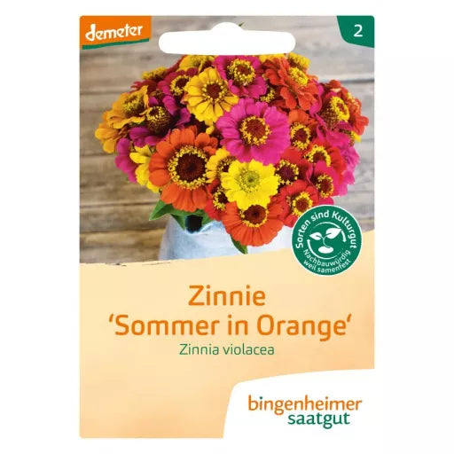 Biodynamisk Frøkenhat 'Summer in Orange' - Bingenheimer Saatgut