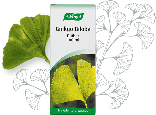 Ginkgo Biloba - 100ML - A. Vogel