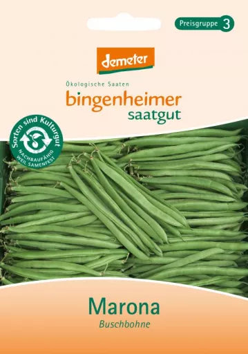 Biodynamisk Grønne Busk-Bønner 'Marona' - Bingenheimer Saatgut