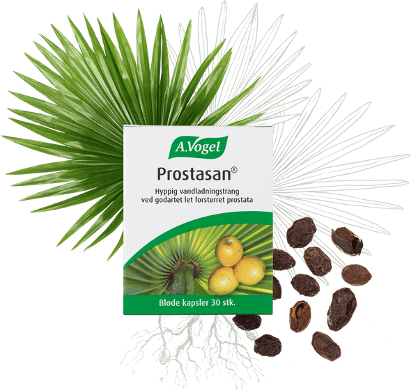 Prostasan - 90 Kapsler - A. Vogel