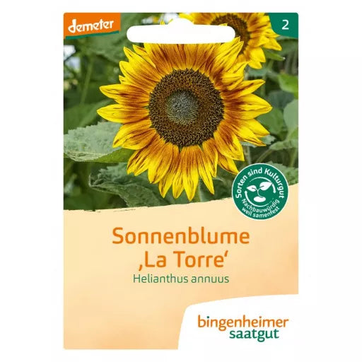 Biodynamisk Solsikke 'La Torre' - Bingenheimer Saatgut