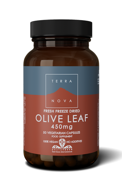Olive Leaf - 50 Kapsler - TerraNova