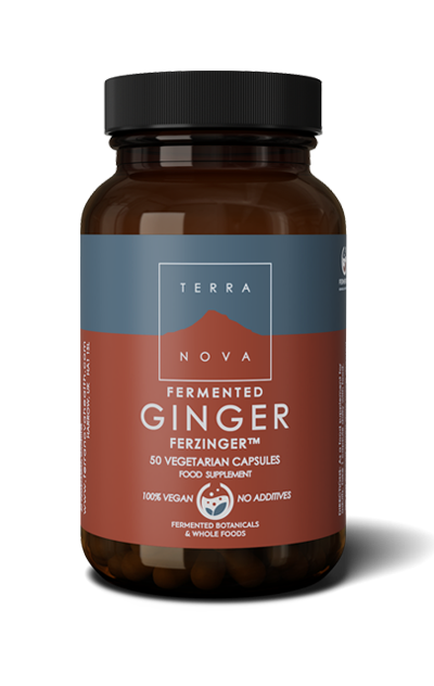 Fermented Ginger Ferzinger - 50 Kapsler - TerraNova