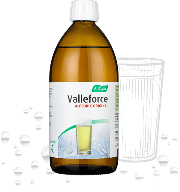 Valleforce Original - 500ML - A. Vogel