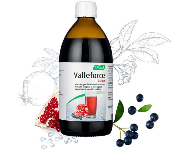 Valleforce Berry - 500ML - A. Vogel