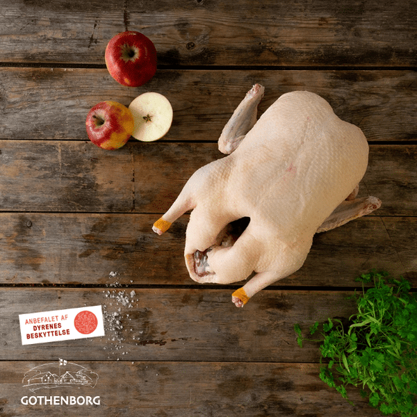 Økologisk Hvid Landand - Ca. 3200G - Gothenborg