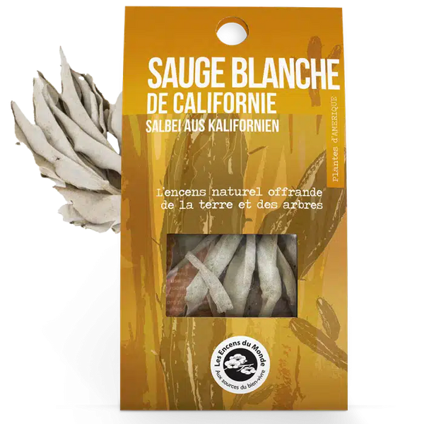 Smudge Californian White Sage Blade - 25G - Aromandise