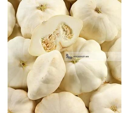 Økologisk Pâtisson Blanc Græskar - 1000G - Frankrig - Frugt & Grønt Uge 42