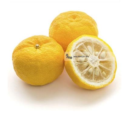 Økologisk Yuzu - 100G - Spanien - Frugt & Grønt Uge 42