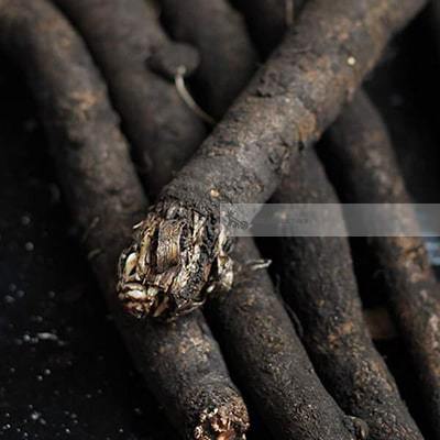 Økologiske Skorzonerrod - 100G - Holland - Frugt & Grønt Uge 42