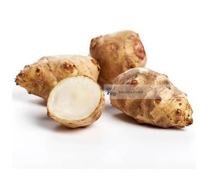 Økologisk Jordskokker - 100G - Danmark - Frugt & Grønt Uge 42