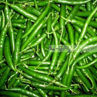 Økologisk Grøn Chili - 1 Stk - Spanien - Frugt & Grønt Uge 43