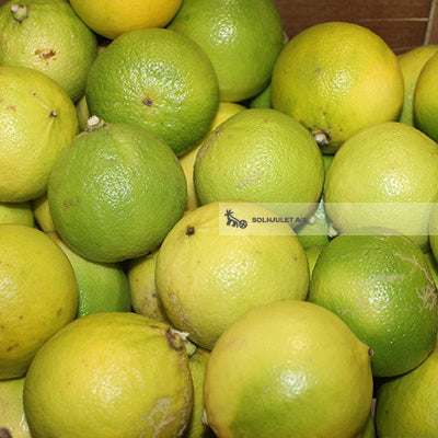 Økologisk Bergamotte - 100G - Spanien - Frugt & Grønt Uge 44