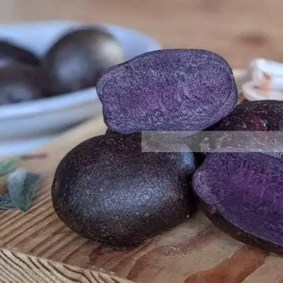 Økologiske Kartofler Blauer Annelise - 100G - Danmark - Frugt & Grønt Uge 45