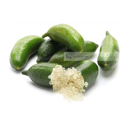 Økologiske Kaviar Lime - 100G - Spanien - Frugt & Grønt Uge 48