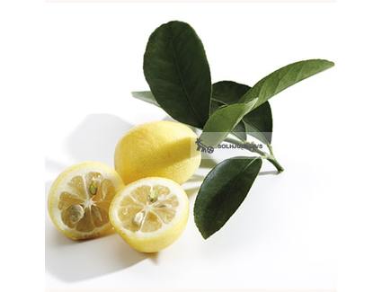 Økologiske Limequats - 100G - Spanien - Frugt & Grønt Uge 48