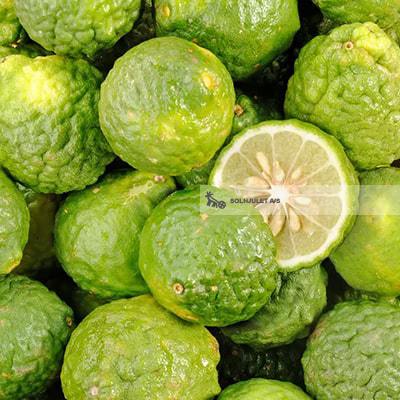 Økologiske Combava Citroner - 100G - Madagaskar - Frugt & Grønt Uge 48